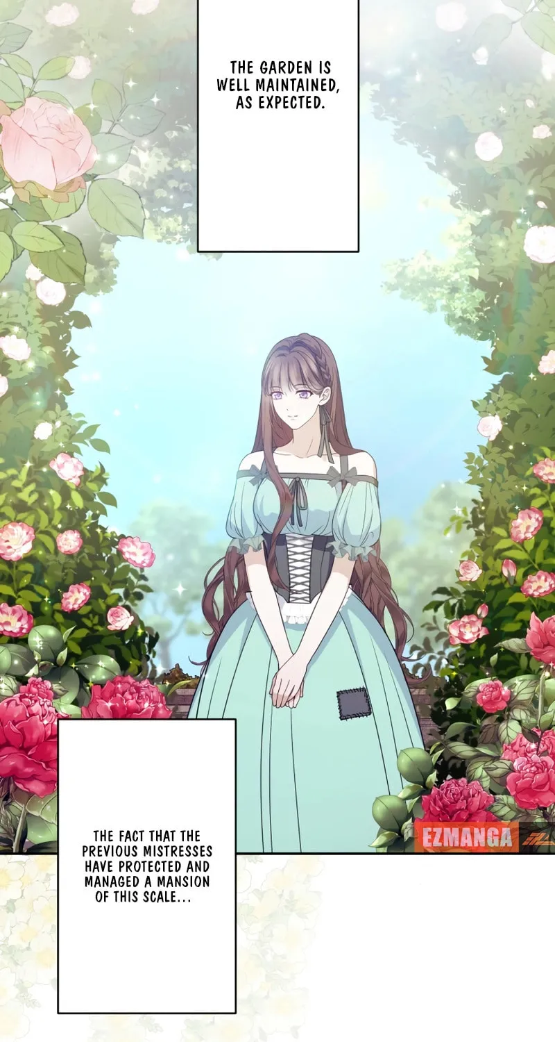 A Marriage of Convenience: The Time-Limited Duchess Won