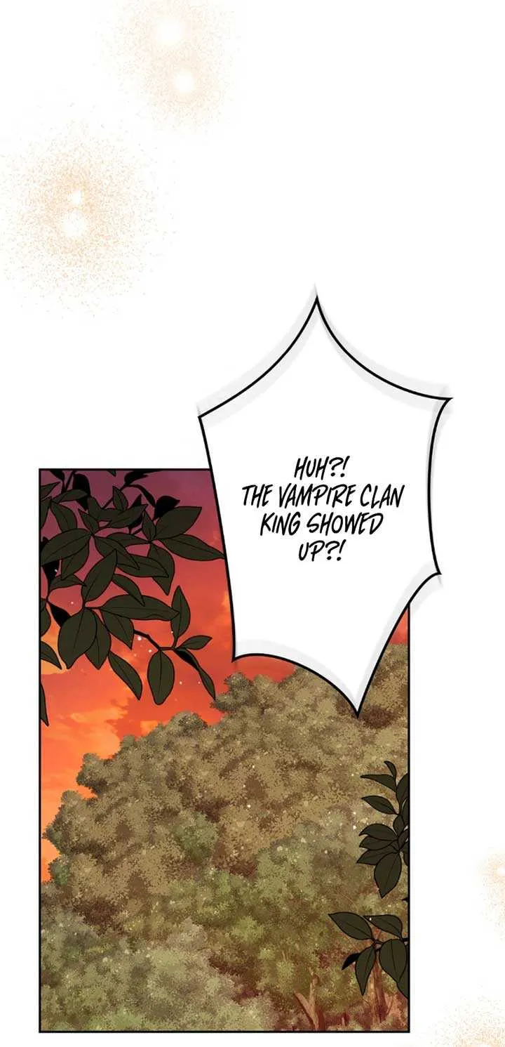 A Marriage that Decides the Fate of the World Chapter 13 page 61 - 