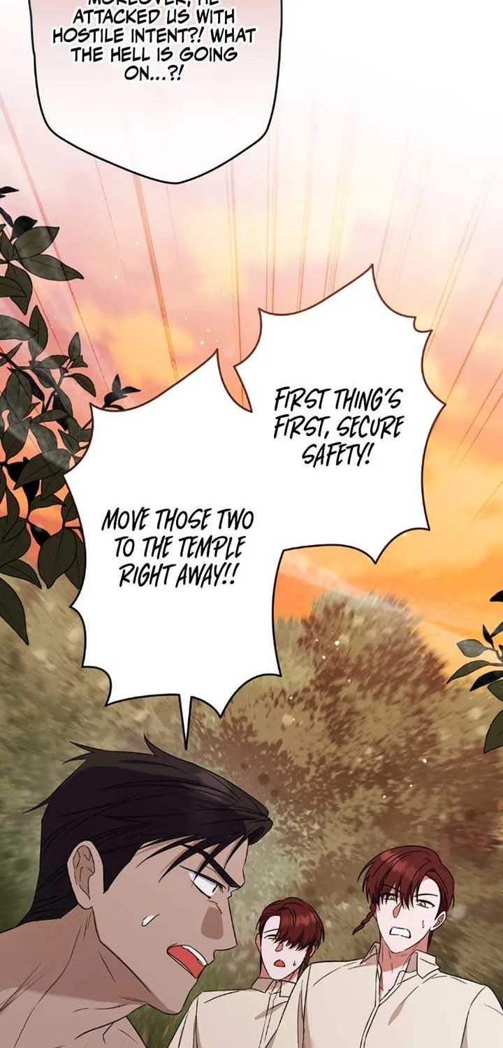 A Marriage that Decides the Fate of the World Chapter 13 page 63 - 