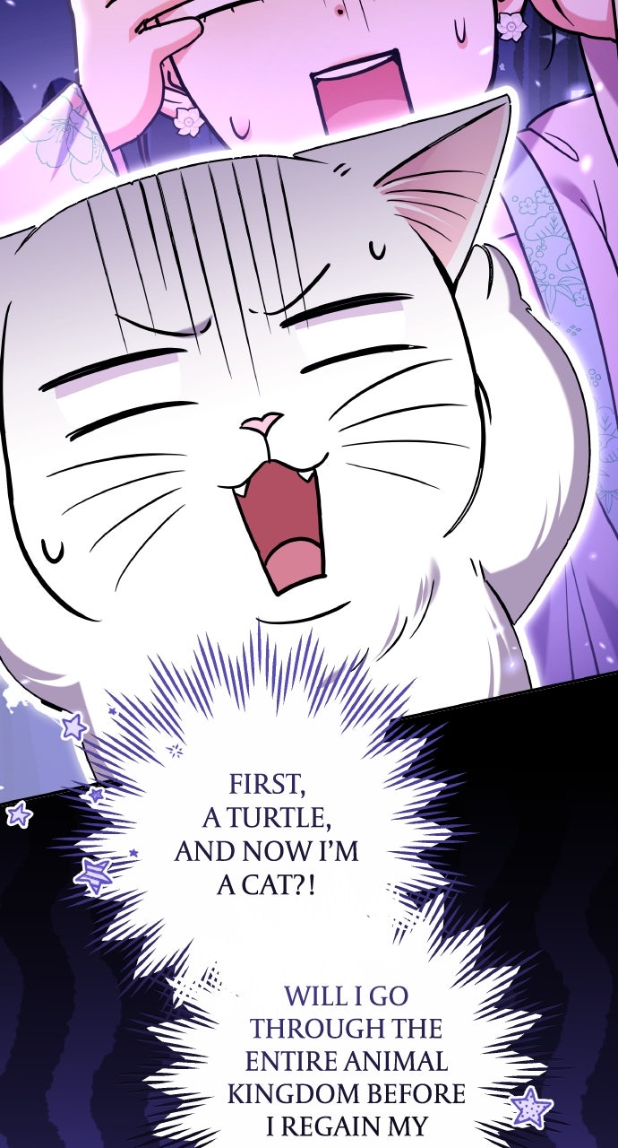 A Martial Master Wakes Upas a Concubine (S2) Ep. 117 - Dead Meows Tell No Tales page 86 - 