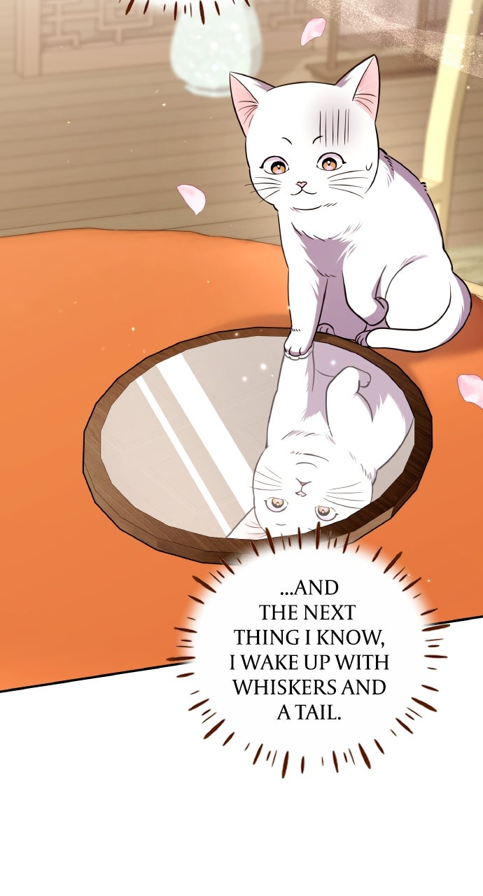 A Martial Master Wakes Upas a Concubine (S2) Ep. 117 - Dead Meows Tell No Tales page 89 - 