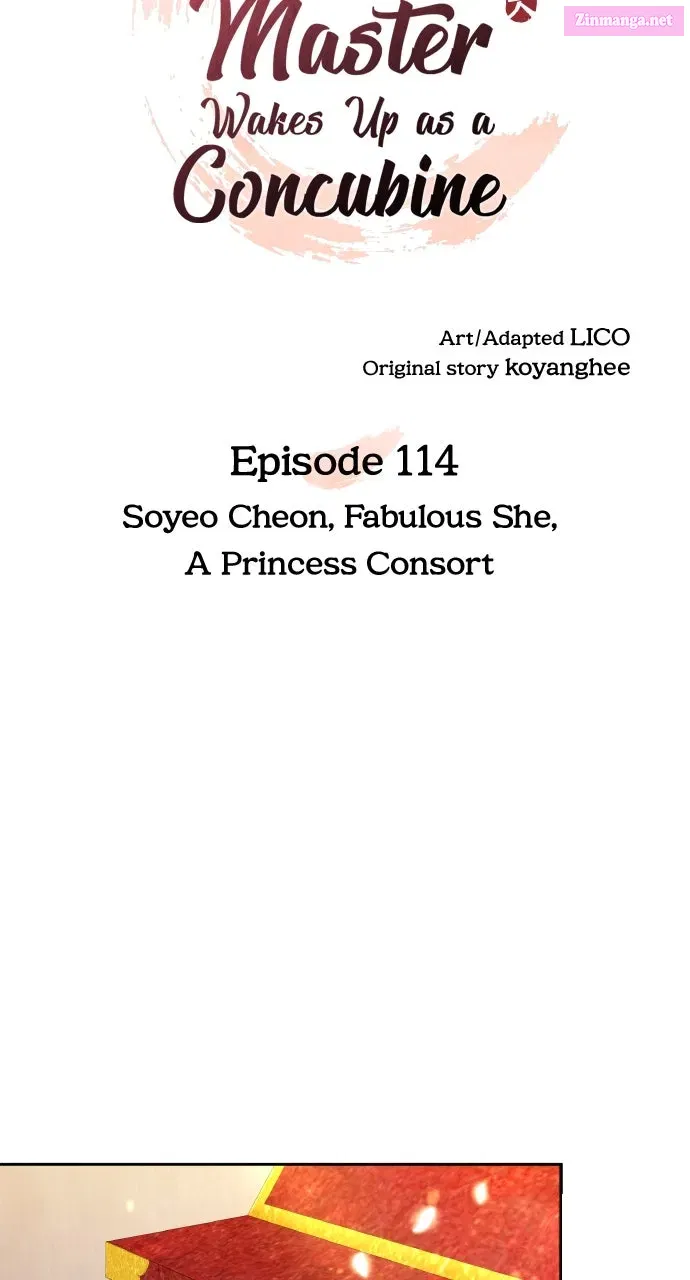 A Martial Master Wakes Up as a Concubine Chapter 114 page 21 - 