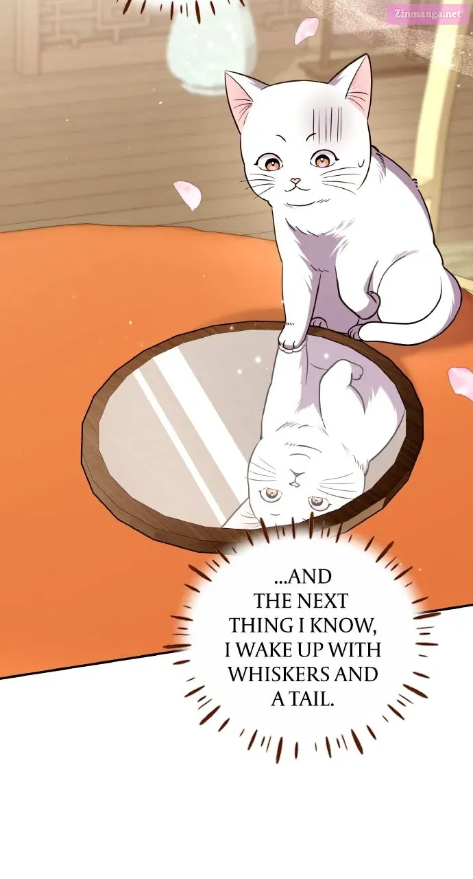 A Martial Master Wakes Up as a Concubine Chapter 117 page 89 - 