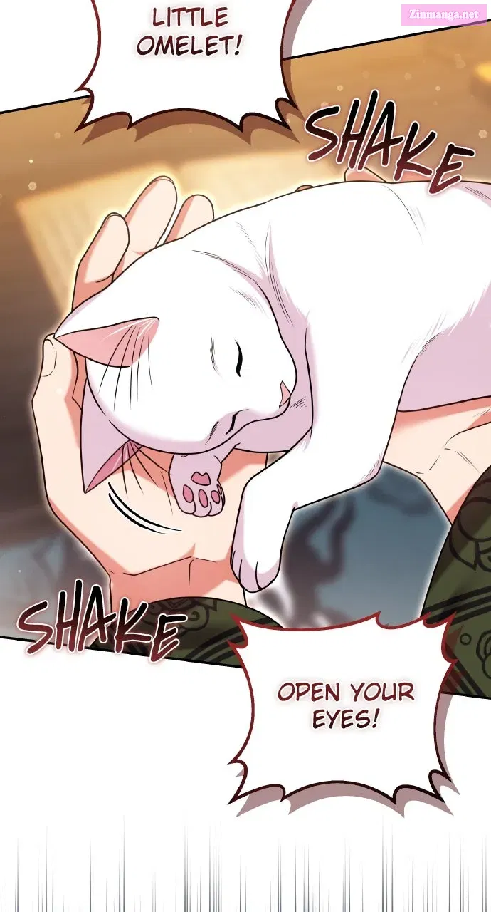 A Martial Master Wakes Up as a Concubine Chapter 120 page 71 - 