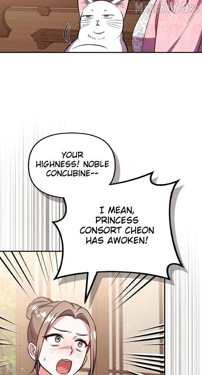A Master, Who Woke up as a Concubine Chapter 117 page 103 - 