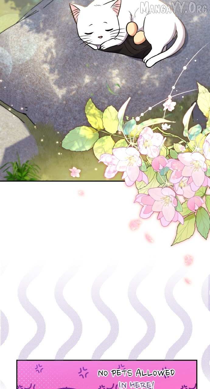 A Master, Who Woke up as a Concubine Chapter 118 page 54 - 