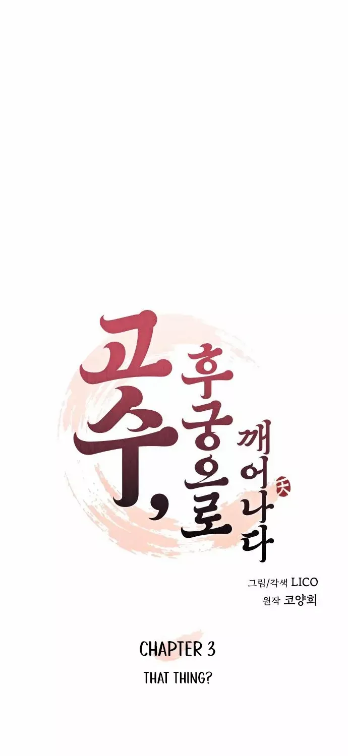 A Master, Who Woke up as a Concubine Chapter 3 page 29 - 