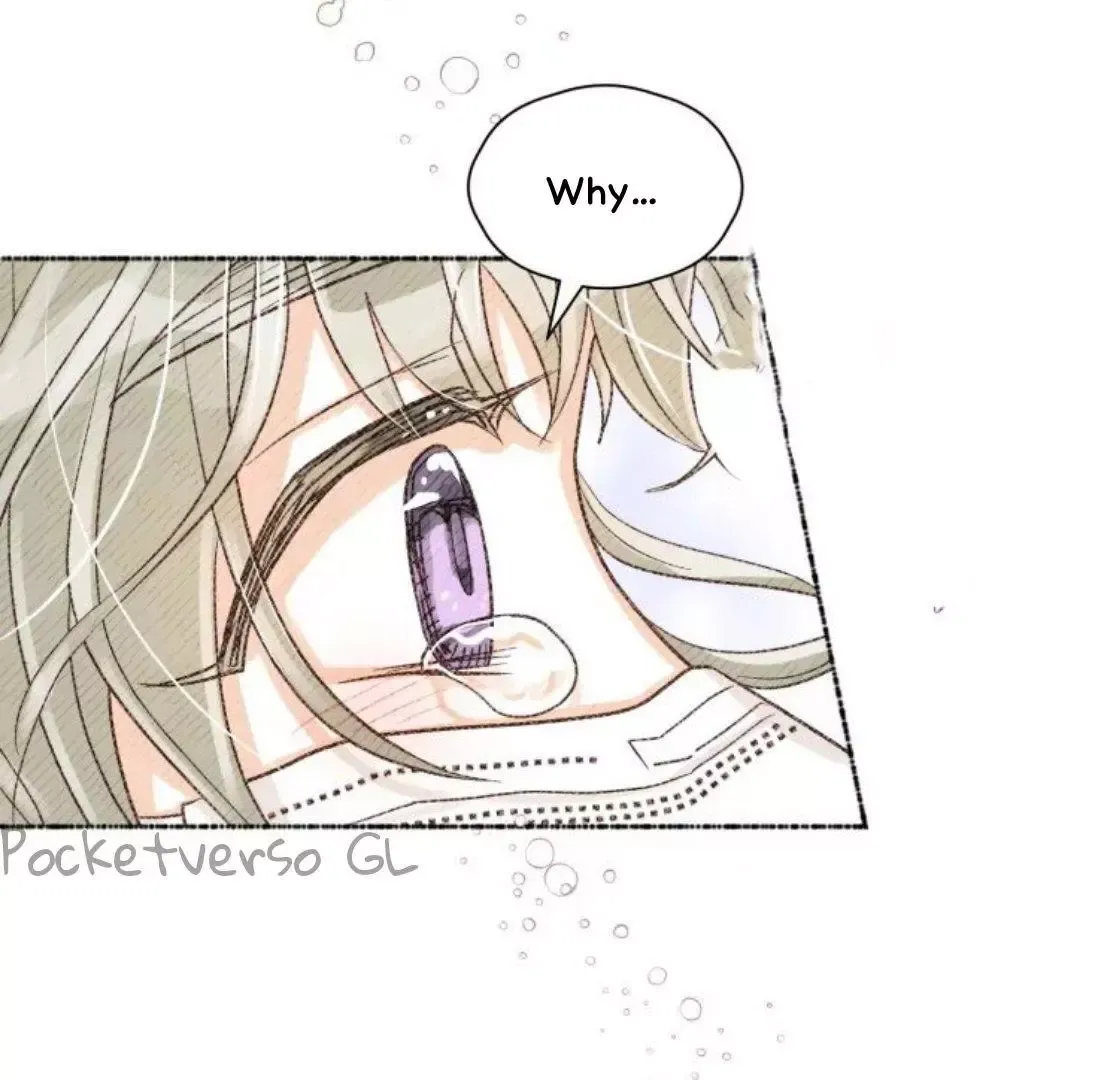 A Model Advisory Chapter 13 page 13 - 
