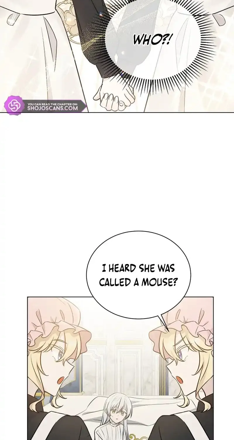 A Mouse Biting a Dragon
