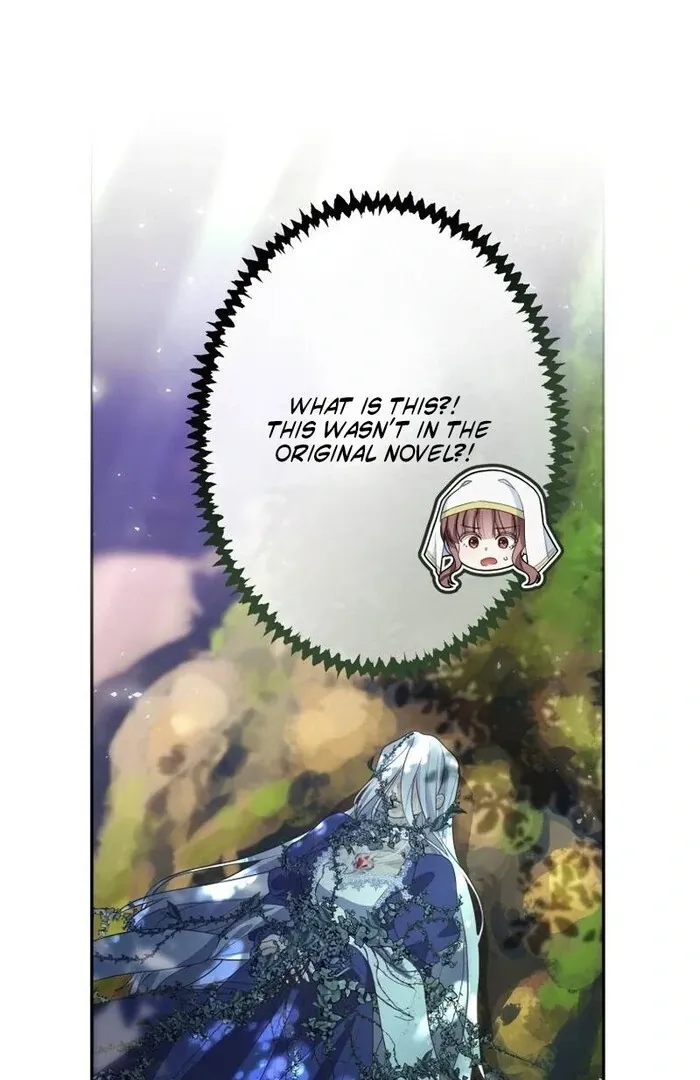 A New Husband, Please! The Forgotten Wife Who Barely Appeared in the Original Story Fights for a Happy Ending. Chapter 12 page 11 - 