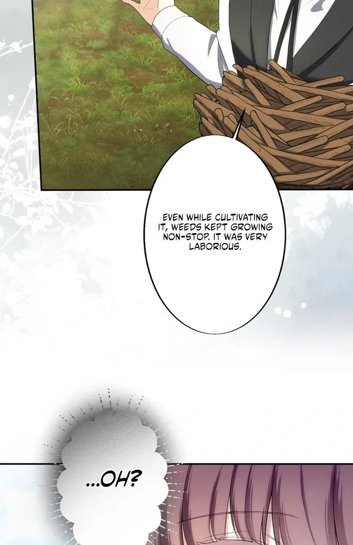 A New Husband, Please! The Forgotten Wife Who Barely Appeared in the Original Story Fights for a Happy Ending. Chapter 14 page 44 - 