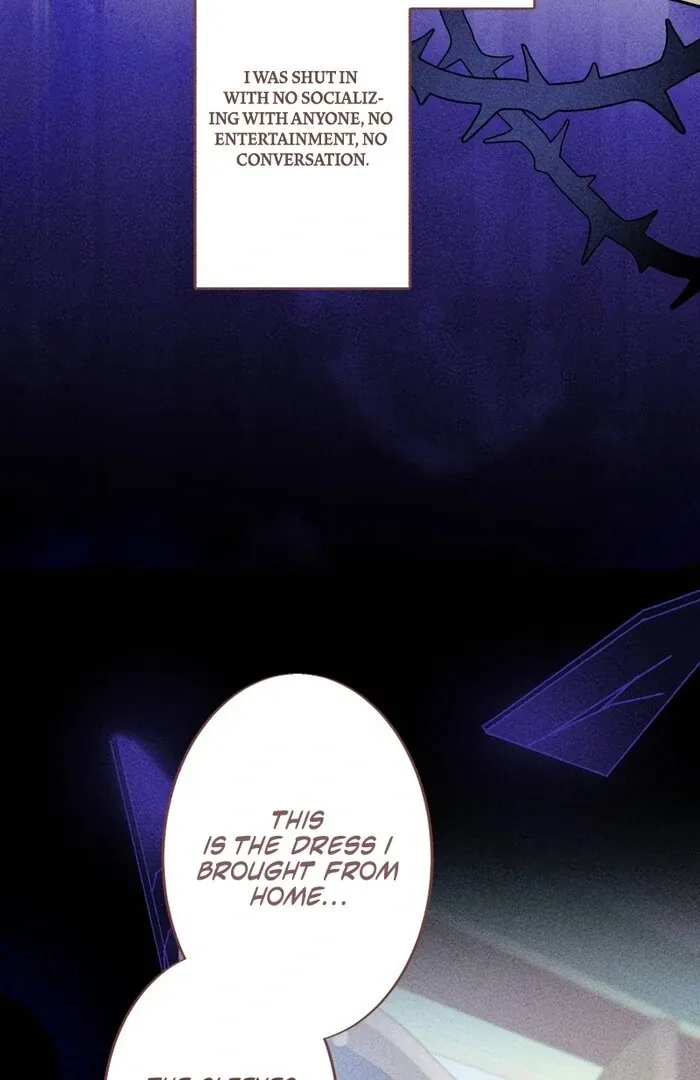 A New Husband, Please! The Forgotten Wife Who Barely Appeared in the Original Story Fights for a Happy Ending. Chapter 2 page 15 - 