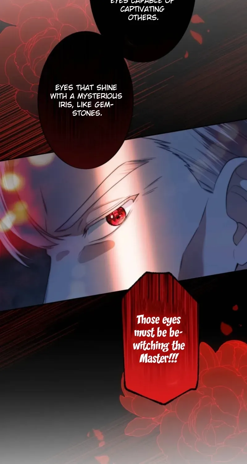 A New Husband, Please! The Forgotten Wife Who Barely Appeared in the Original Story Fights for a Happy Ending. Chapter 21 page 81 - 