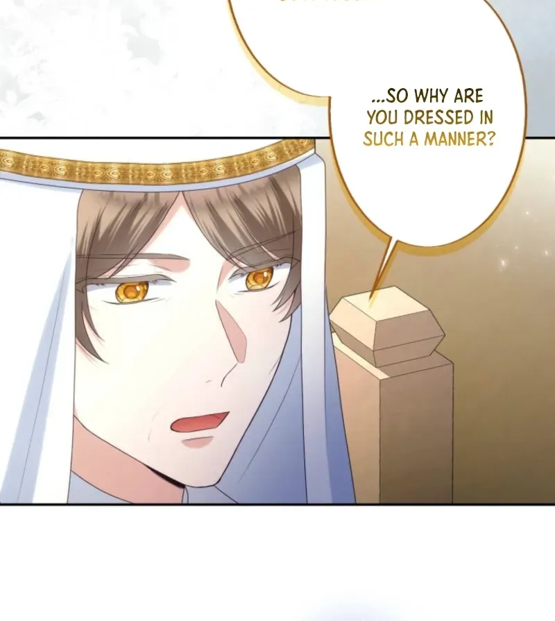 A New Husband, Please! The Forgotten Wife Who Barely Appeared in the Original Story Fights for a Happy Ending. Chapter 28 page 18 - 