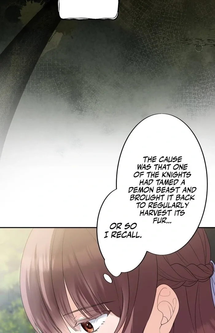 A New Husband, Please! The Forgotten Wife Who Barely Appeared in the Original Story Fights for a Happy Ending. Chapter 3 page 14 - 