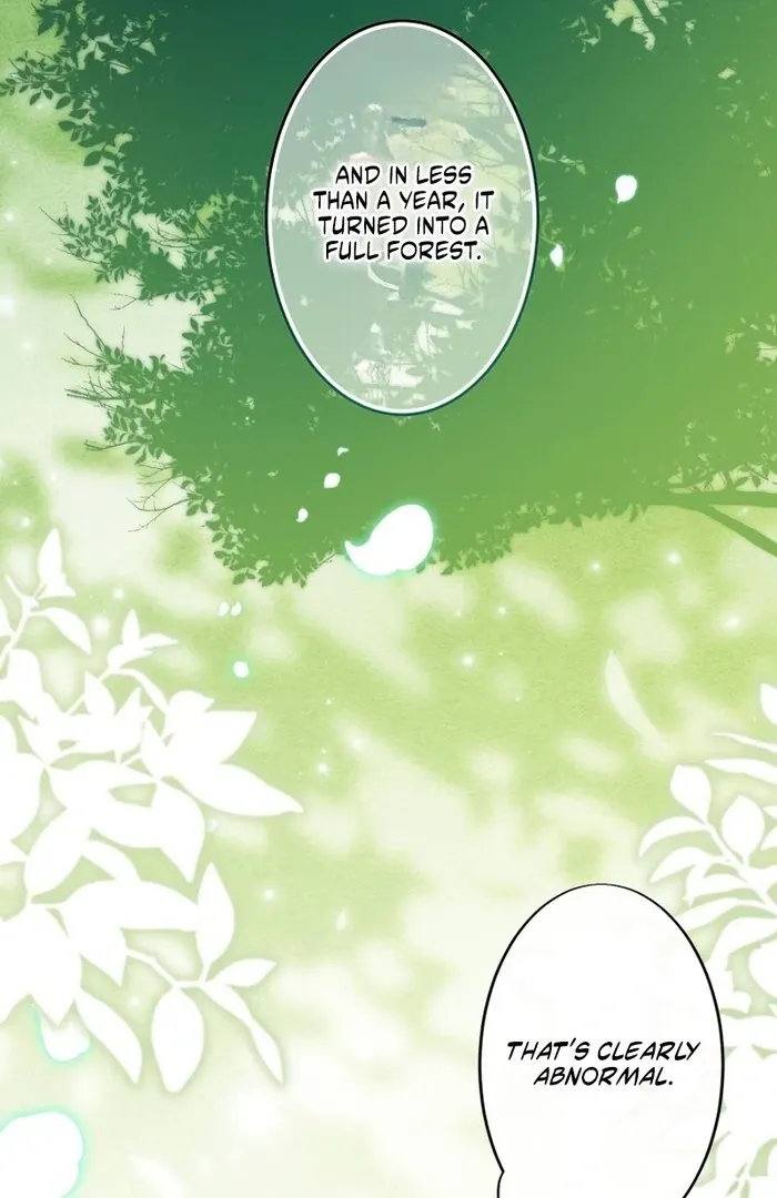A New Husband, Please! The Forgotten Wife Who Barely Appeared in the Original Story Fights for a Happy Ending. Chapter 4 page 40 - 