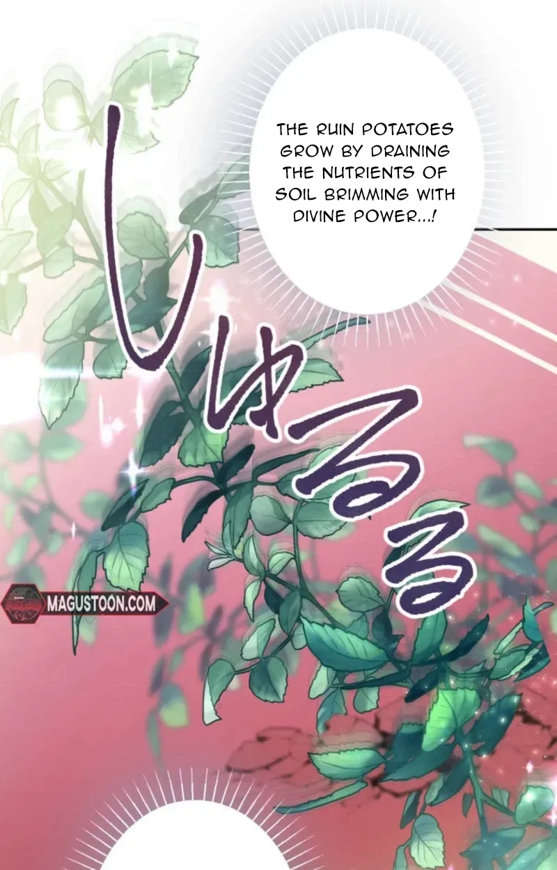A New Husband, Please! The Forgotten Wife Who Barely Appeared in the Original Story Fights for a Happy Ending. Chapter 46 page 47 - 