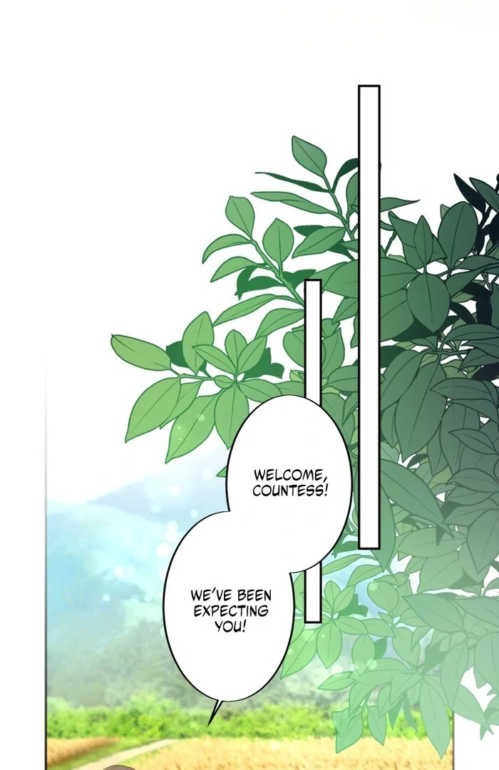 A New Husband, Please! The Forgotten Wife Who Barely Appeared in the Original Story Fights for a Happy Ending. Chapter 8 page 2 - 