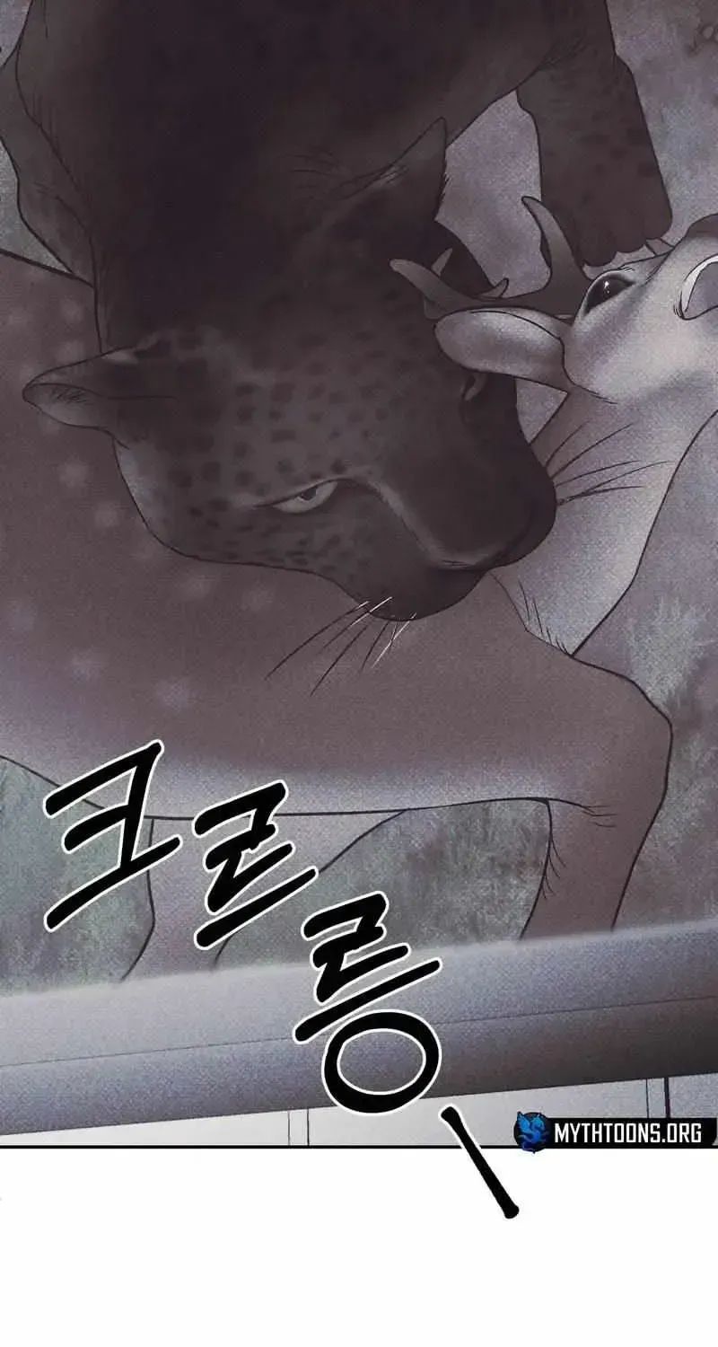 A Night When Stars Fell Chapter 1.1 page 47 - 