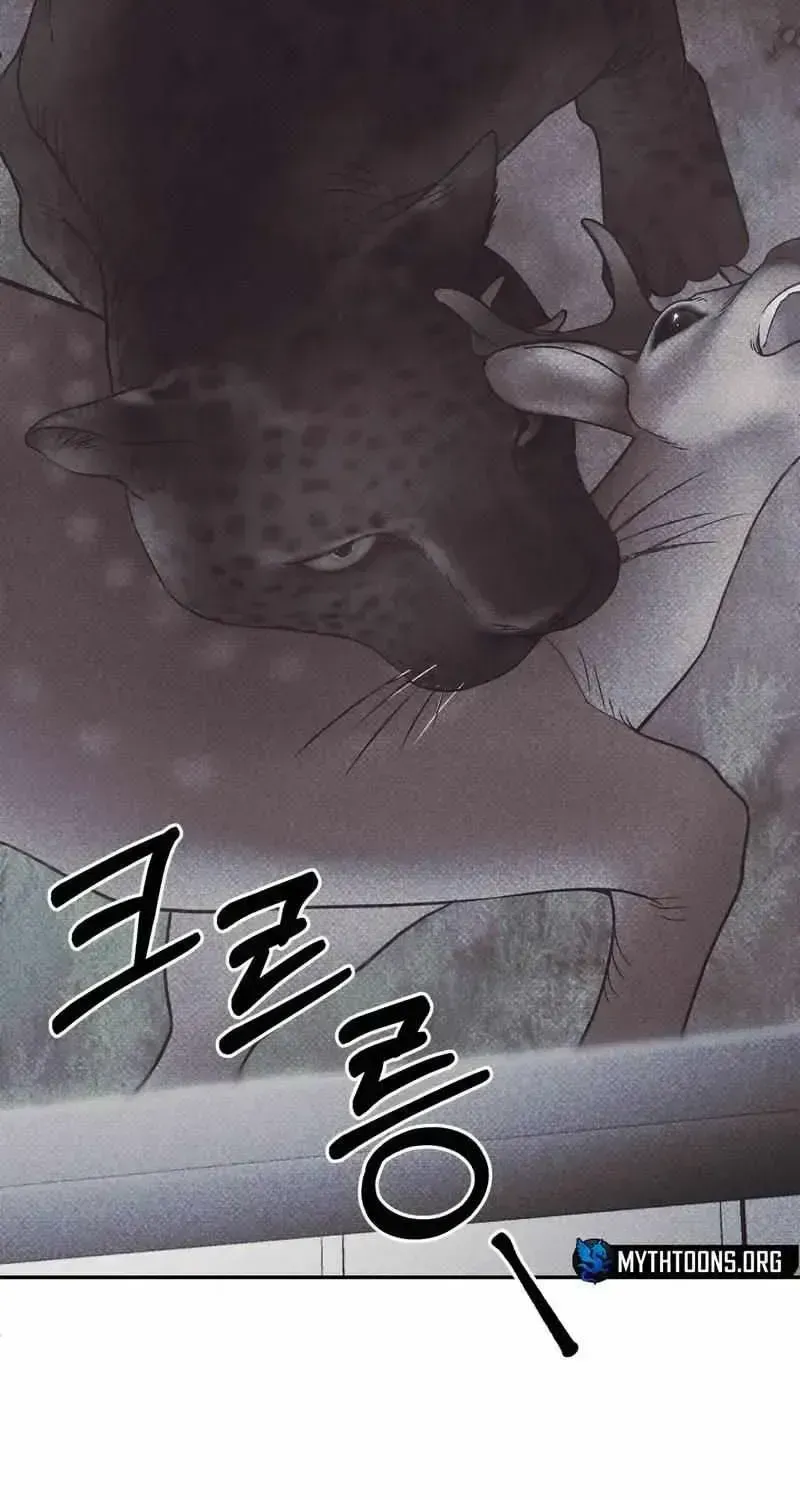 A Night When Stars Fell Chapter 1.2 page 47 - 