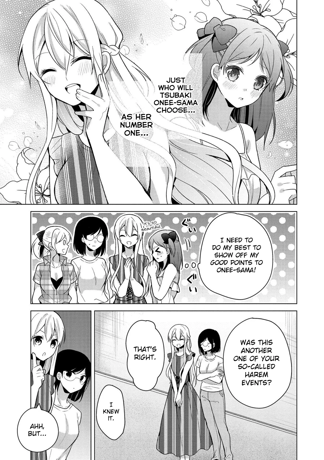 A Noble Girl Wants to be a Harem Protagonist! Chapter 22 page 17 - 