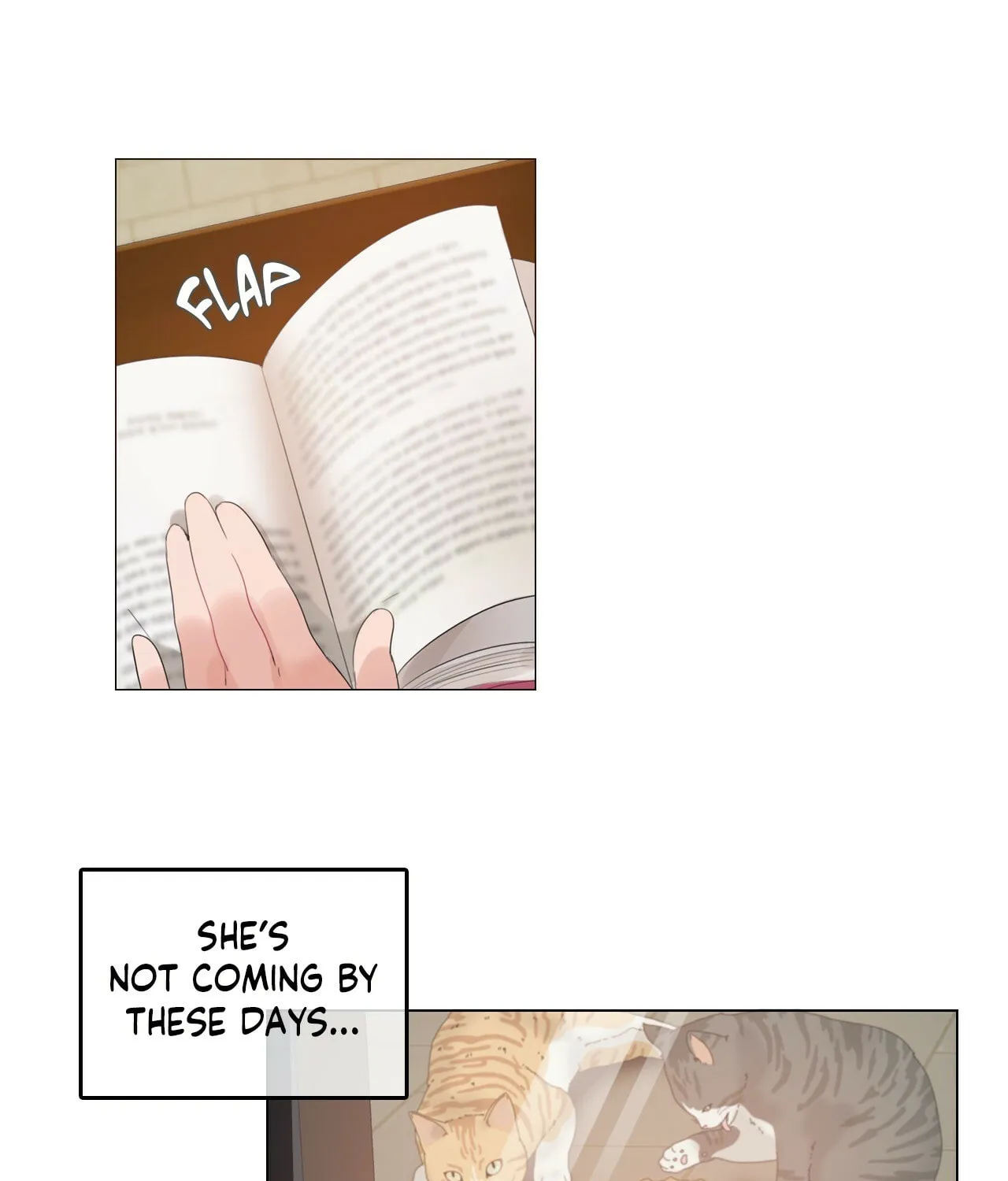 A Pervert