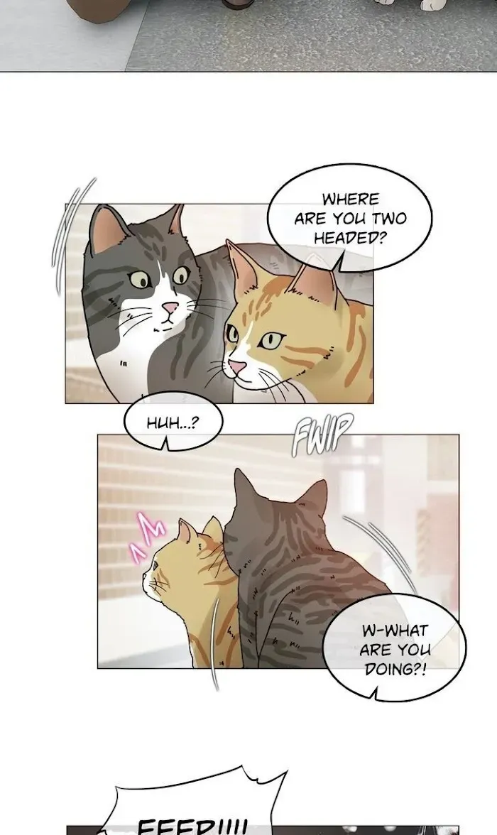 A Pervert’s Daily Life Chapter 114.1 page 10 - 