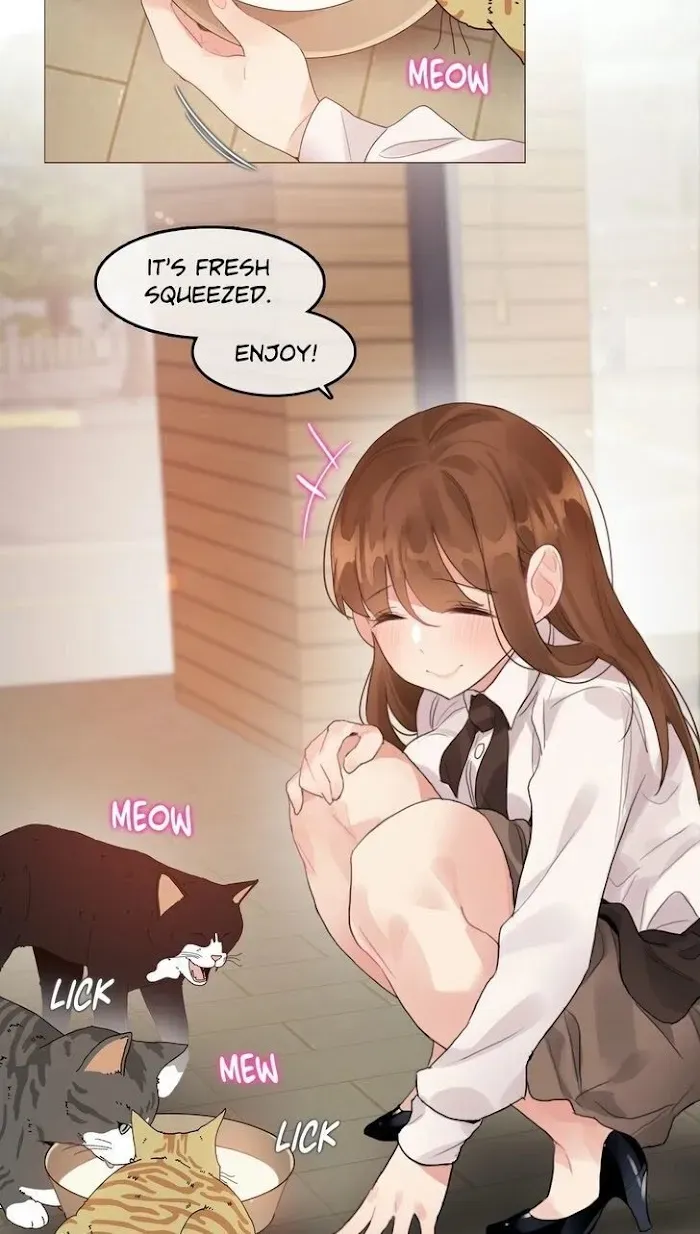 A Pervert’s Daily Life Chapter 116.1 page 2 - 