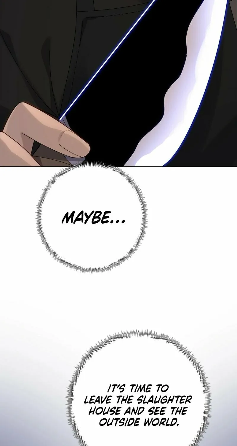 A Pig-Slaughtering Knife Cutting Through All Realms — Makes Sense, Right? Chapter 4 page 25 - 