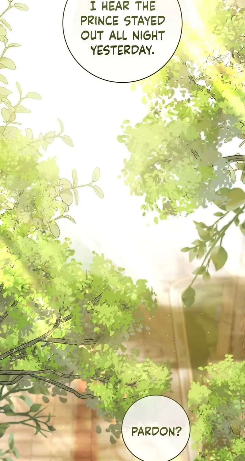A Prince for You Chapter 21 page 66 - 