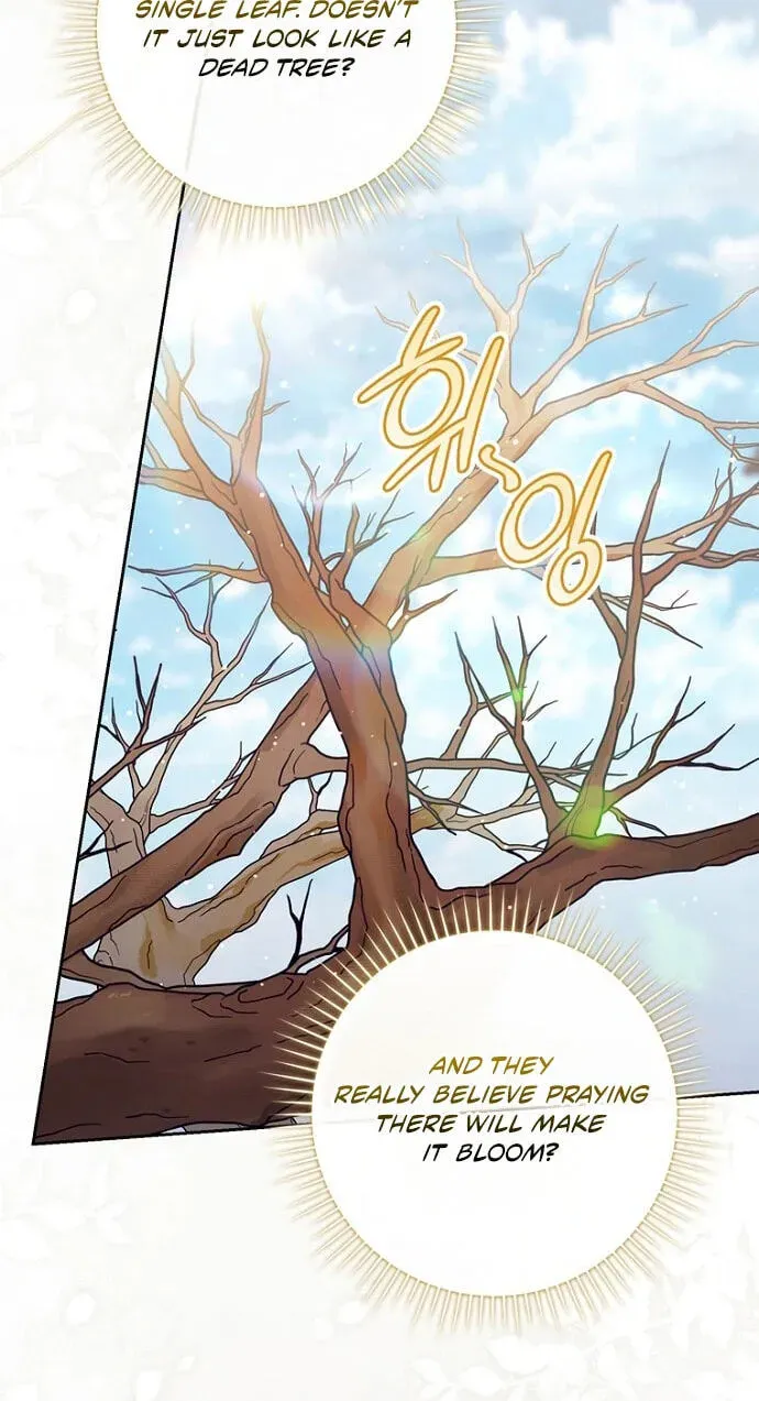 A Princess Who Reads Fortune Chapter 155 page 31 - 