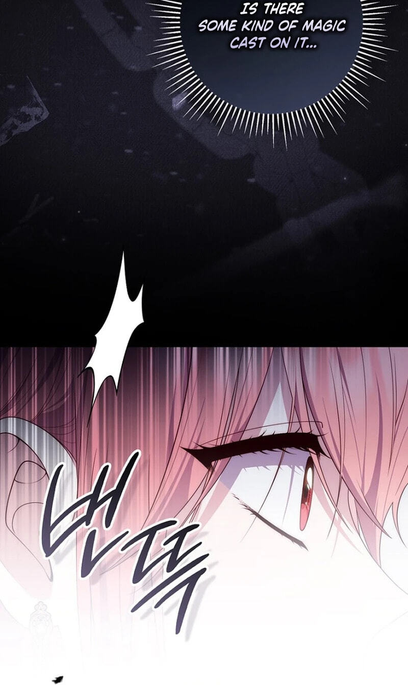 A Princess Who Reads Fortune Chapter 157 page 70 - 