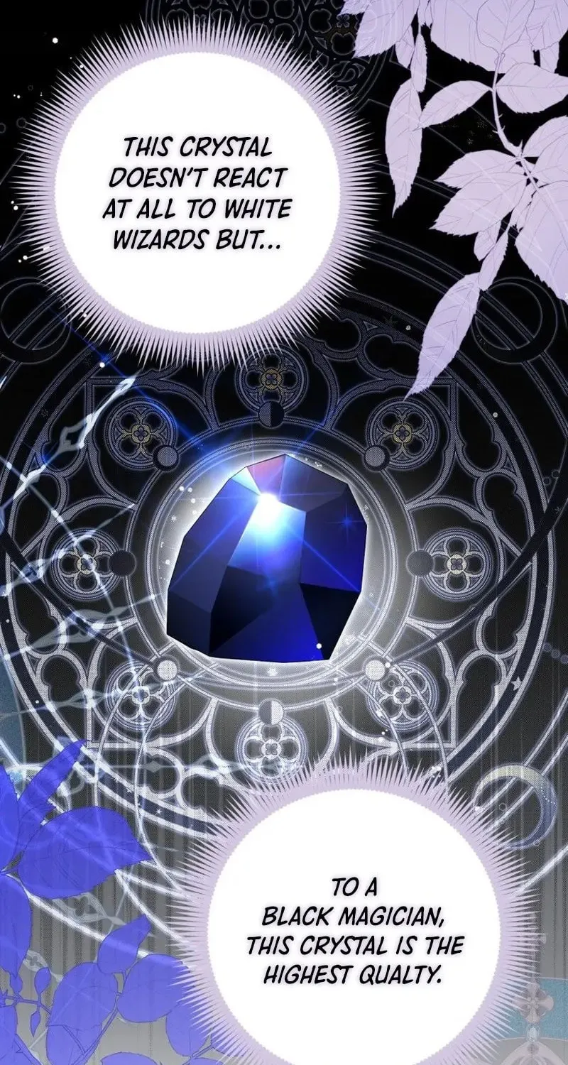 A Princess Who Reads Fortune Chapter 24 page 66 - 