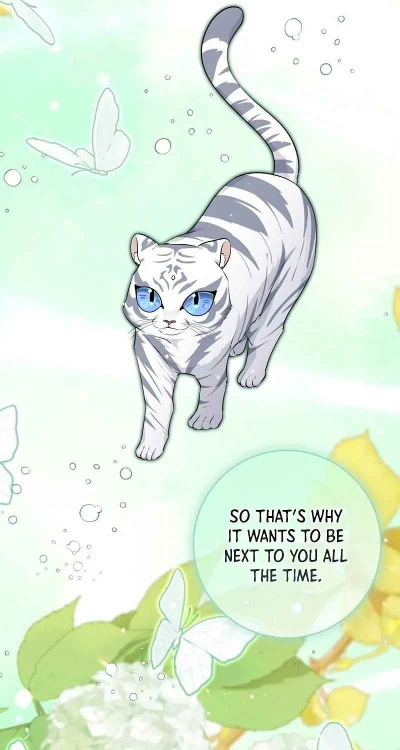 A Princess Who Reads Fortune Chapter 24 page 8 - 