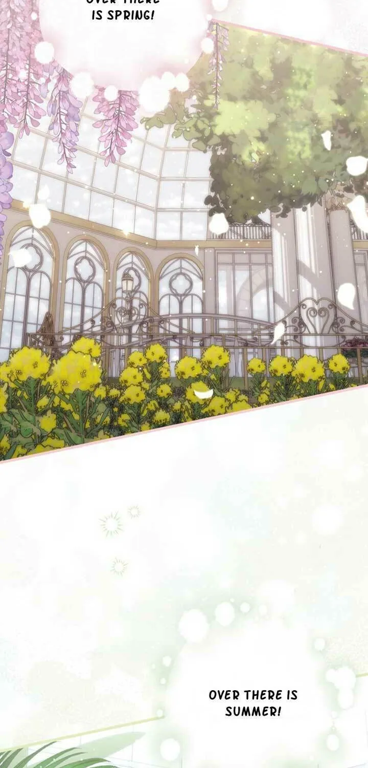 A Princess Who Reads Fortune Chapter 91 page 43 - 