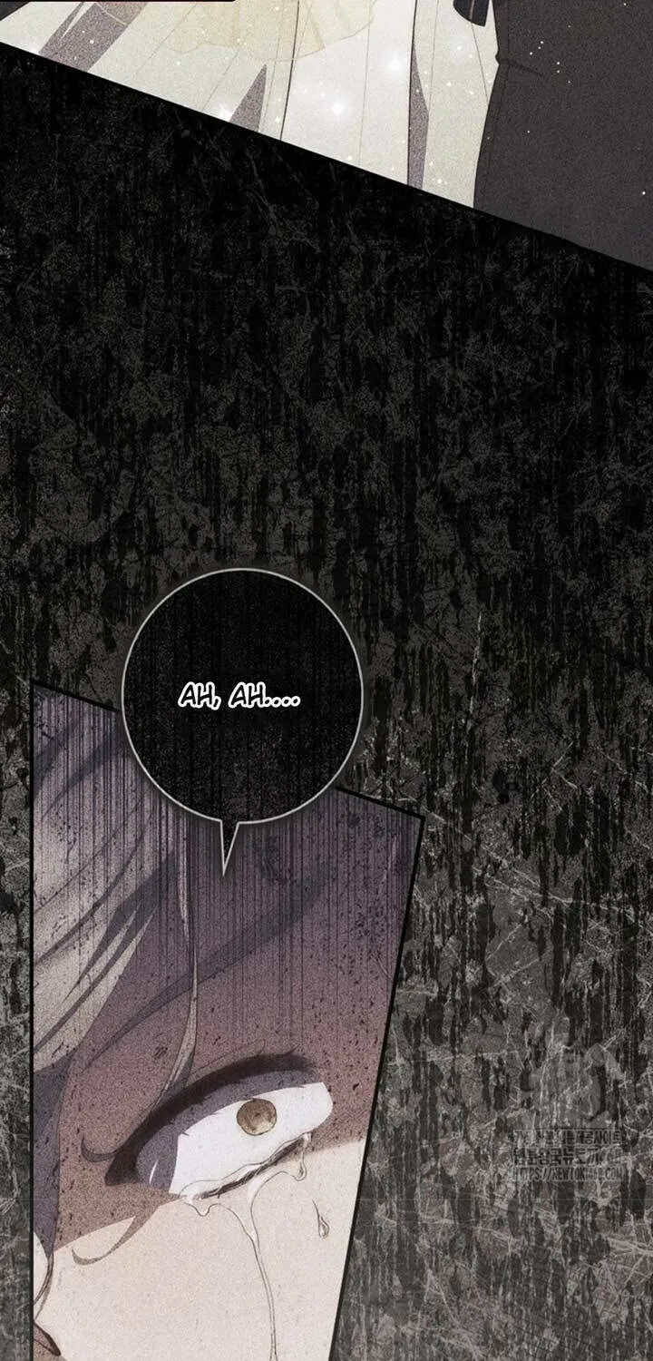 A Princess Who Reads Fortune Chapter 95 page 29 - 