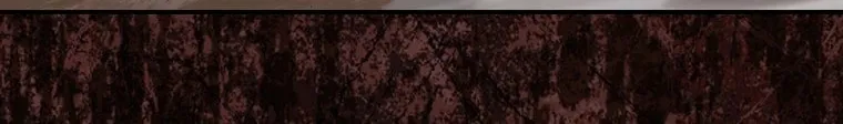 A Princess Who Reads Fortune Chapter 96 page 97 - 