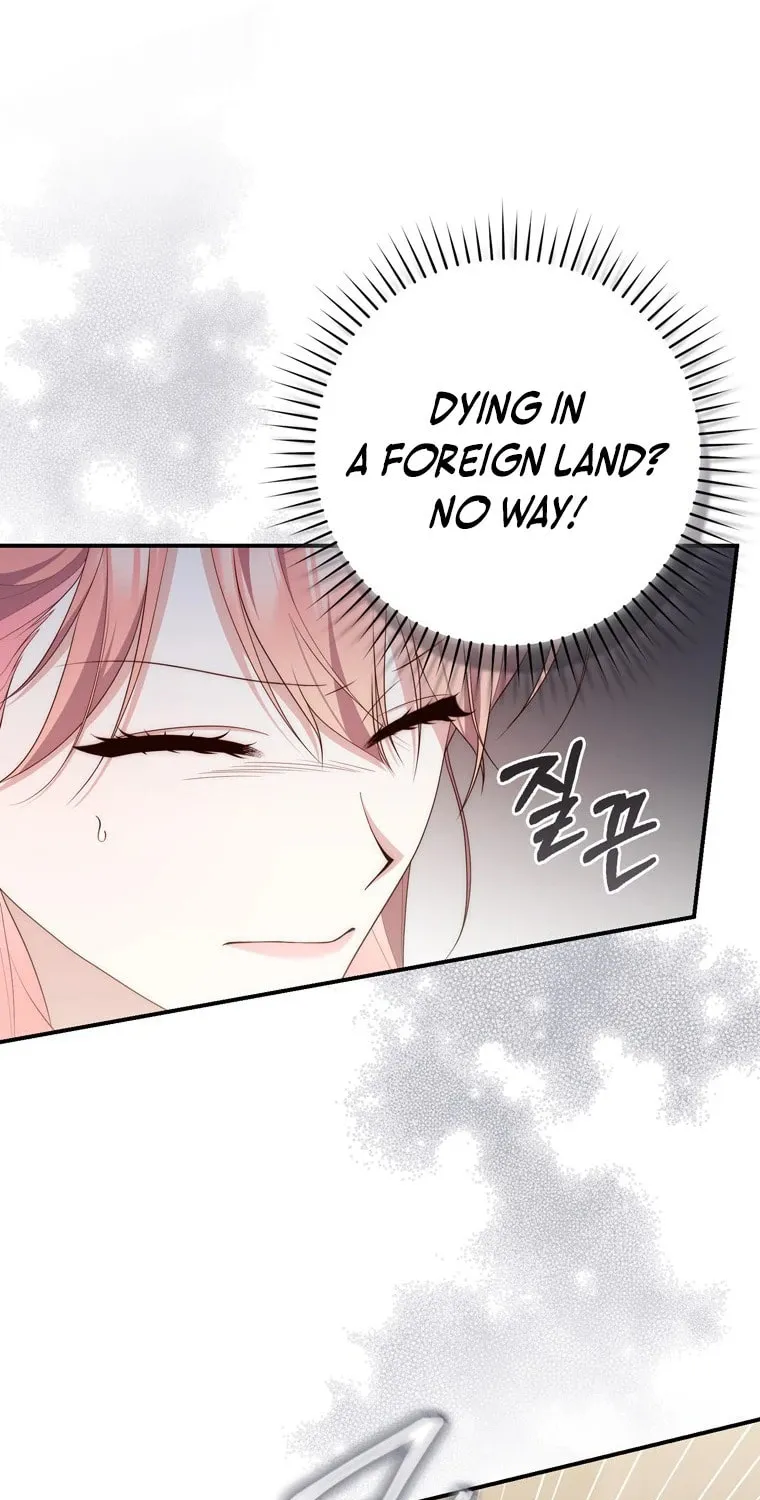 A Princess Who Reads Fortune Chapter 97 page 65 - 