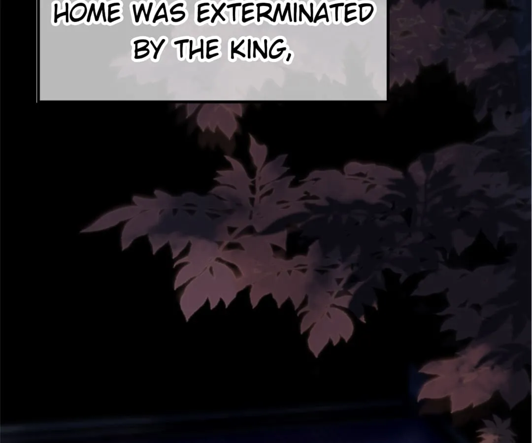 A Record of the Crown Princess’s Revenge Chapter 0 page 24 - 