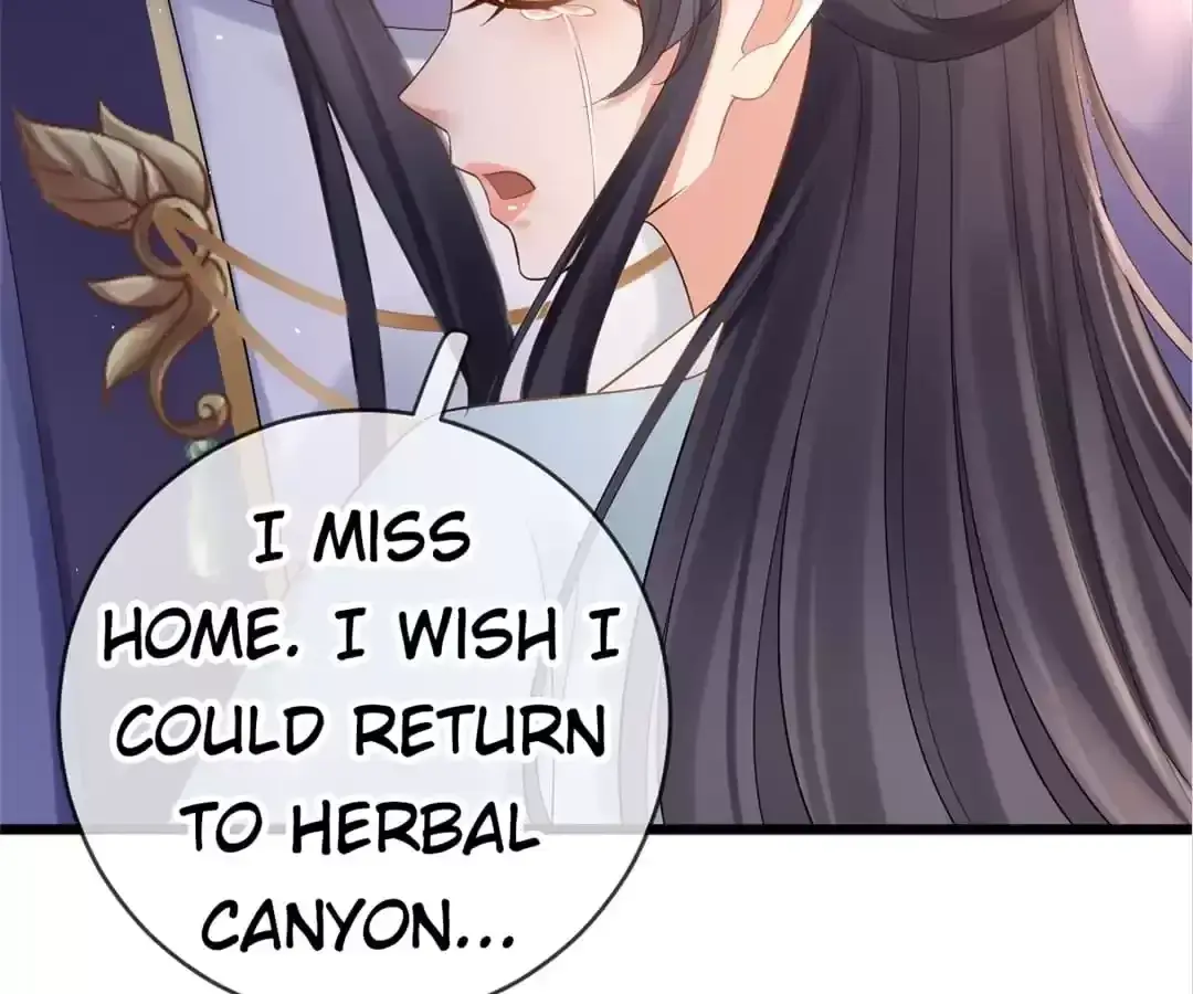 A Record of the Crown Princess’s Revenge Chapter 24 page 12 - 