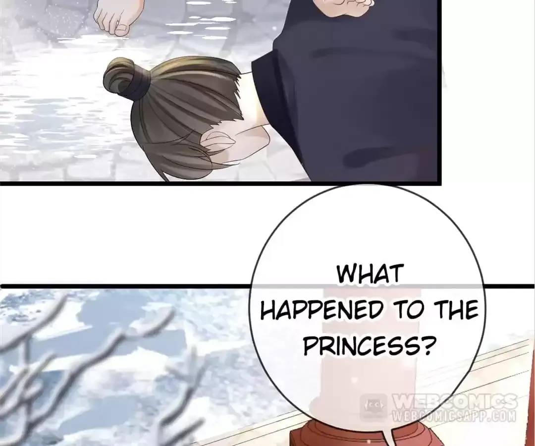 A Record of the Crown Princess’s Revenge Chapter 29 page 2 - 