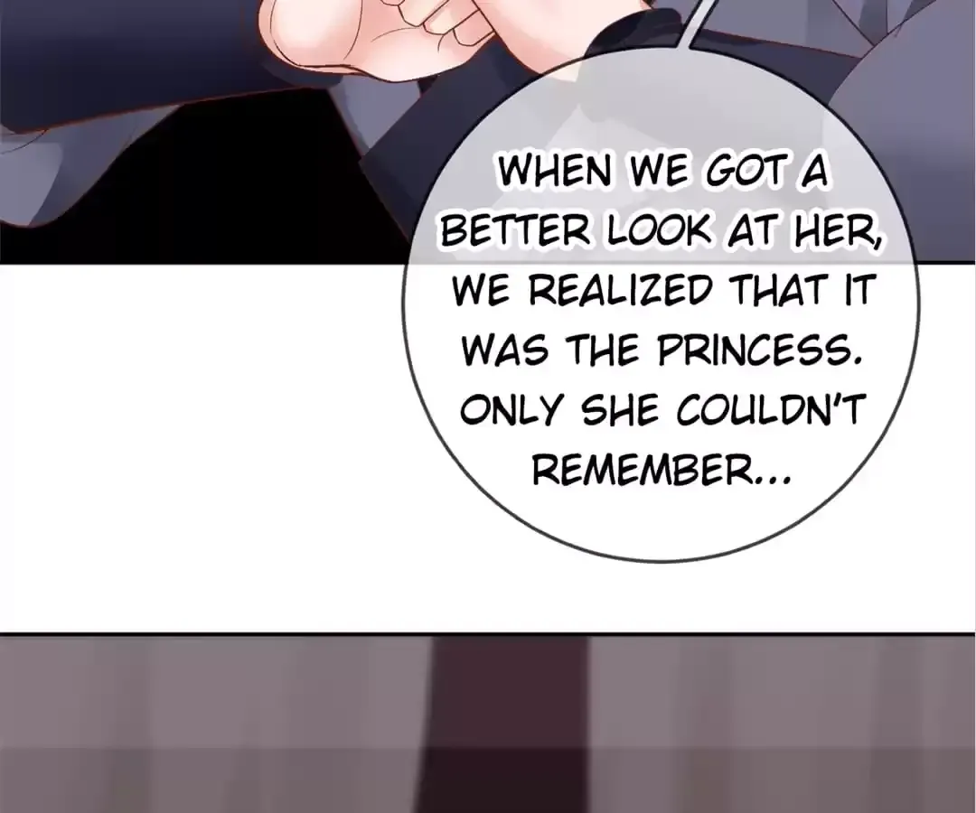 A Record of the Crown Princess’s Revenge Chapter 32 page 17 - 