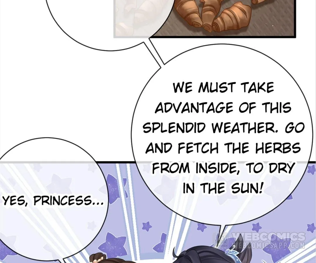 A Record of the Crown Princess’s Revenge Chapter 8 page 15 - 
