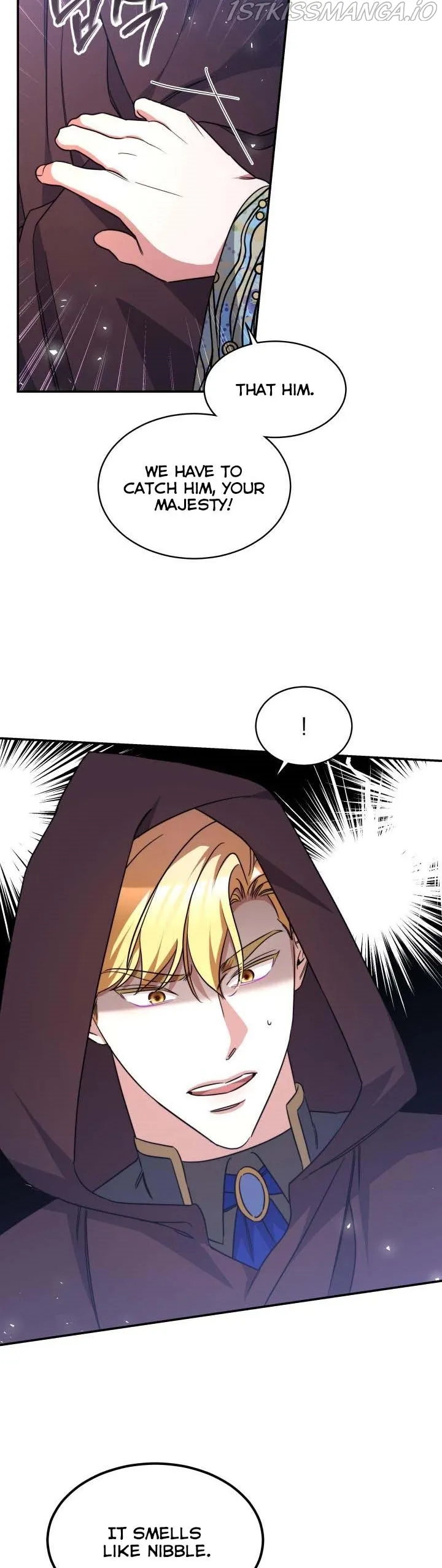 A Red Laurel to My Emperor Chapter 35.5 page 19 - 