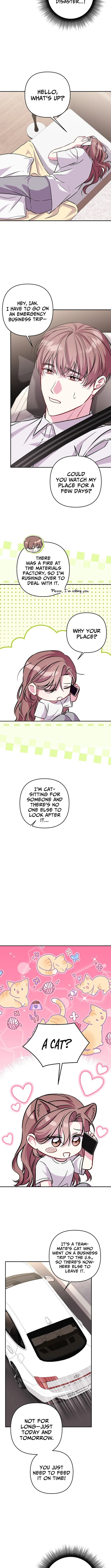 A Romance Beyond Boundaries Chapter 22 page 8 - 