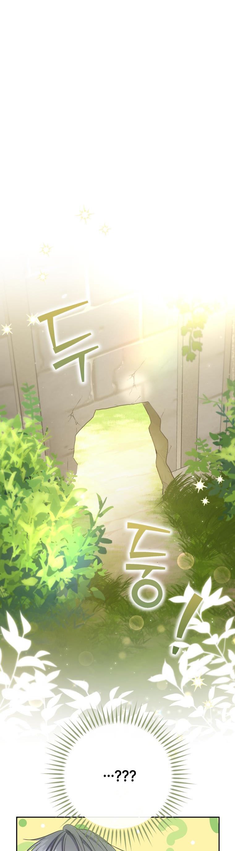 A Saint Who Was Adopted by the Grand Duke Chapter 14 page 9 - 