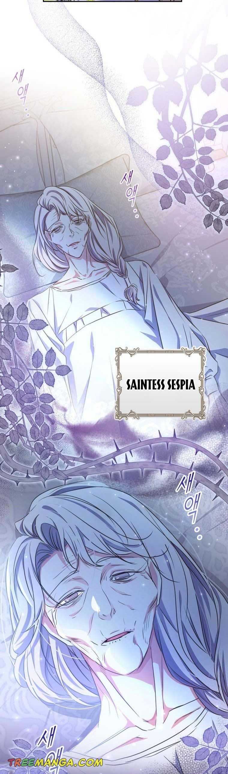 A Saint Who Was Adopted by the Grand Duke Chapter 19 page 12 - 
