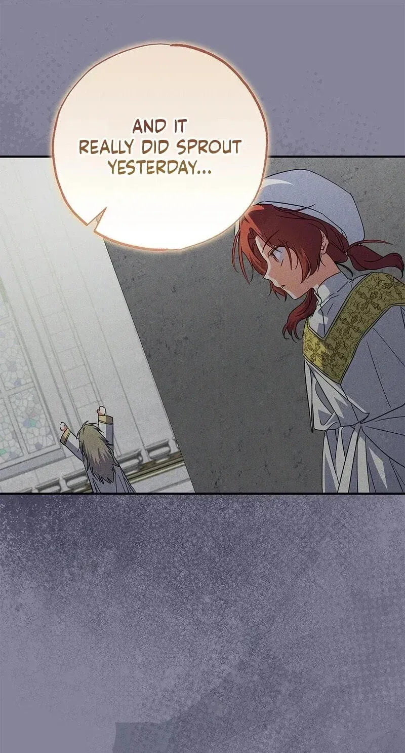 A Saintess Who Was Adopted By The Grand Duke Chapter 89 page 38 - 