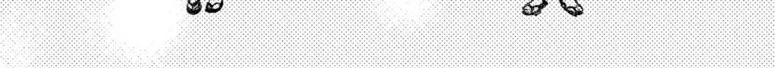 A Sign of Affection Chapter 17 page 56 - 
