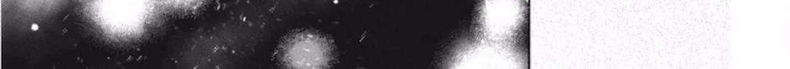 A Sign of Affection Chapter 46 page 51 - 